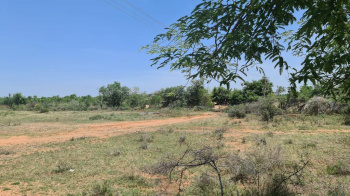 Agricultural Land for Sale in Tiruchuli, Virudhunagar