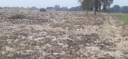  Agricultural Land for Sale in Hanumangarh Junction
