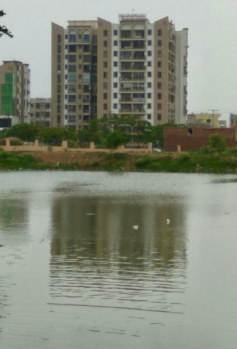 3 BHK Flat for Sale in Argora, Ranchi