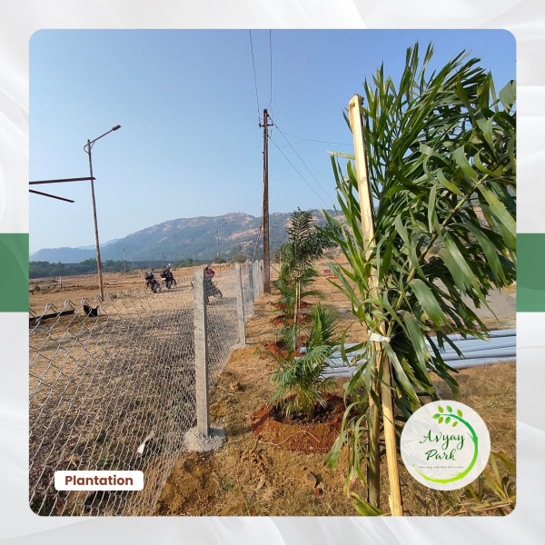  Residential Plot 11000 Sq.ft. for Sale in Kamshet, Pune