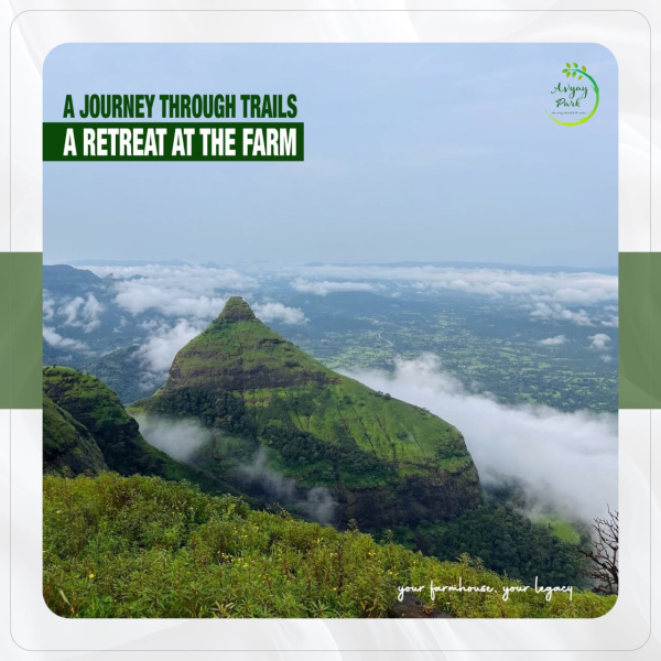  Residential Plot 11000 Sq.ft. for Sale in Kamshet, Pune