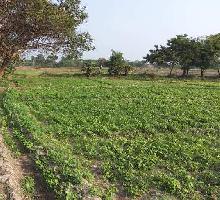  Agricultural Land for Sale in Madurantakam, Kanchipuram