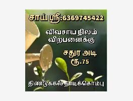  Agricultural Land for Sale in Thadikombu, Dindigul