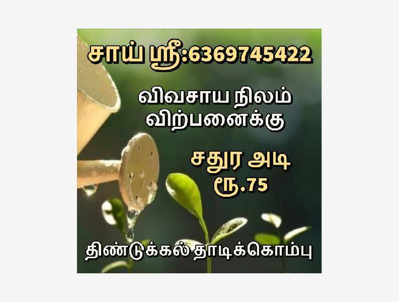  Agricultural Land 10000 Sq.ft. for Sale in Thadikombu, Dindigul