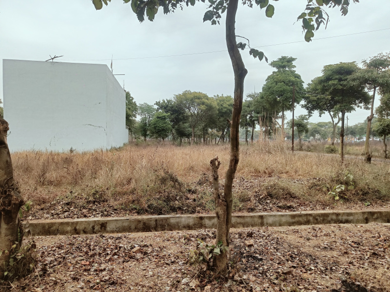  Residential Plot 200 Sq. Meter for Sale in New Moradabad