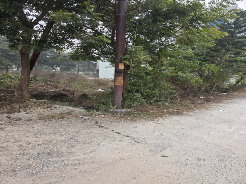  208 Sq. Yards Residential Plot for Sale in New Moradabad