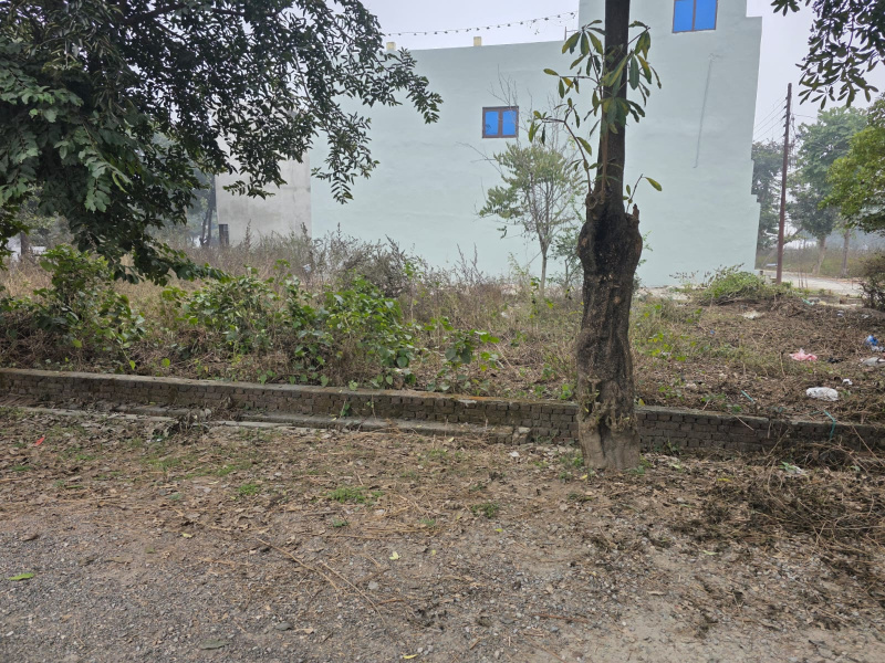  208 Sq. Yards Residential Plot for Sale in New Moradabad