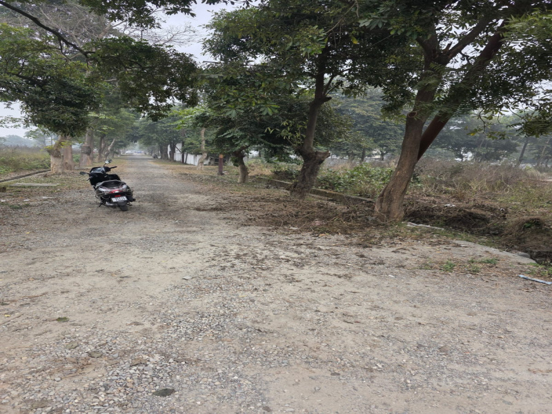  208 Sq. Yards Residential Plot for Sale in New Moradabad