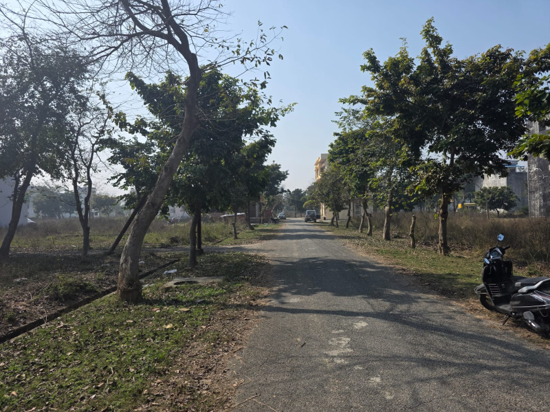  135 Sq. Meter Residential Plot for Sale in New Moradabad
