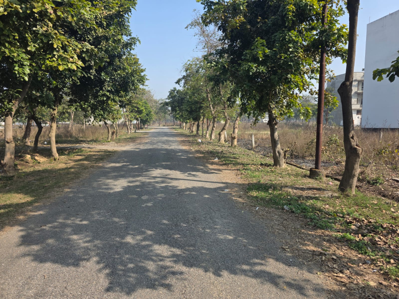  135 Sq. Meter Residential Plot for Sale in New Moradabad