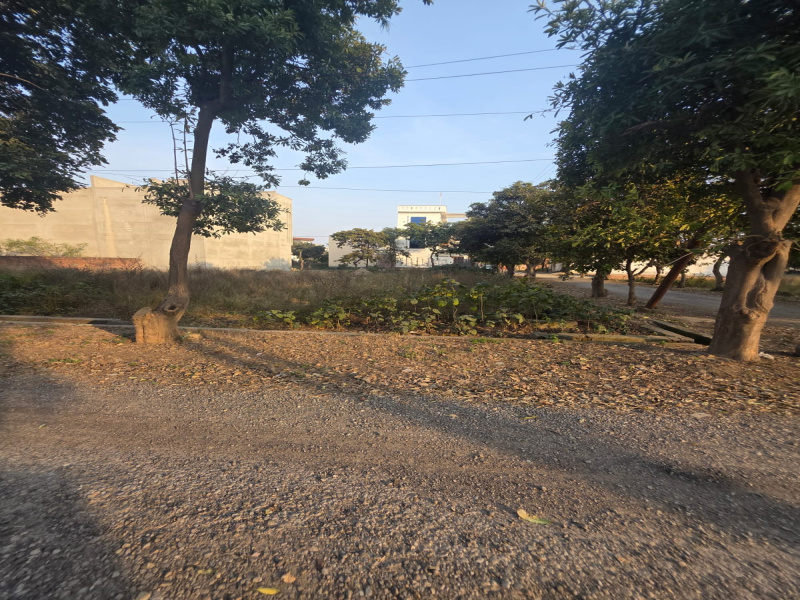  274 Sq. Meter Residential Plot for Sale in New Moradabad