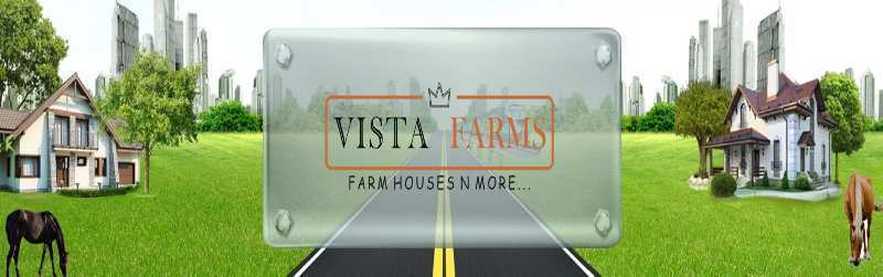Vista Farms