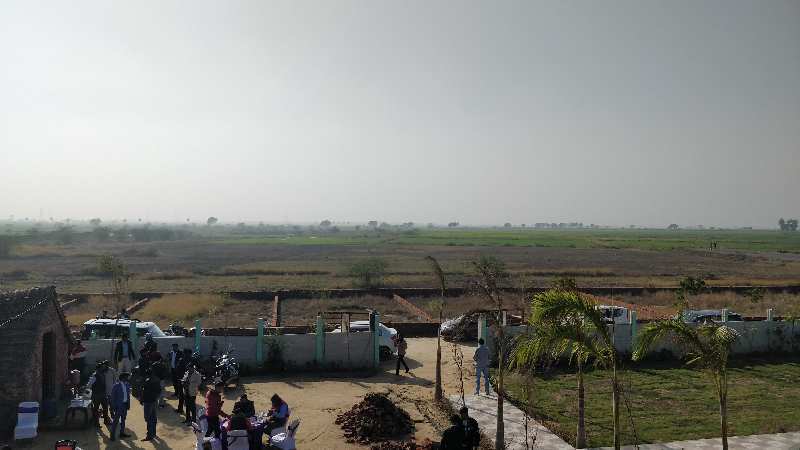  100 Sq. Yards Residential Plot for Sale in Tappal, Aligarh