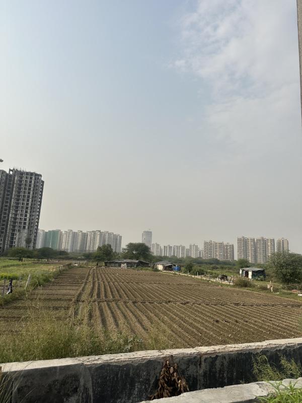  7000 Sq. Yards Residential Plot for Sale in Sector 79 Noida