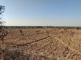  Agricultural Land for Sale in Bidasar, Churu