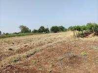  Agricultural Land for Sale in Dindori, Nashik