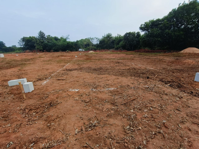  Residential Plot 1200 Sq.ft. for Sale in Baniatangi, Khordha