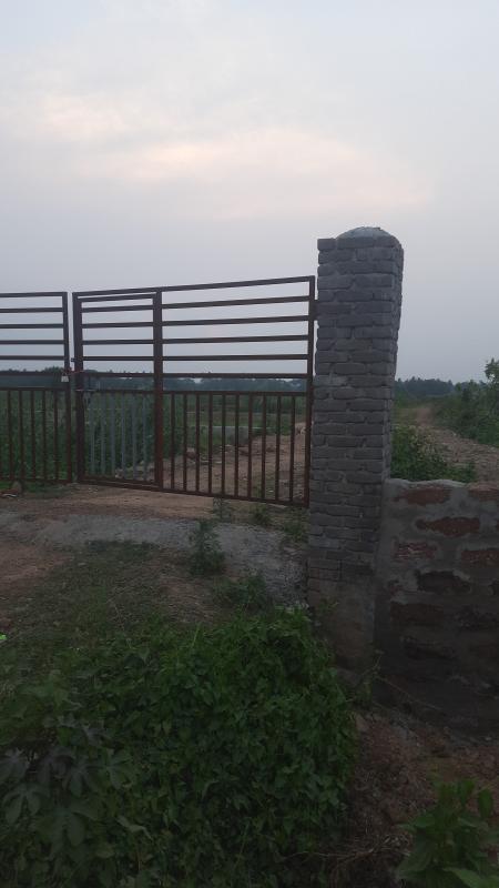  Residential Plot 1800 Sq.ft. for Sale in Patia, Bhubaneswar