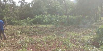  Commercial Land for Sale in Curtorim, Goa