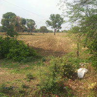  Agricultural Land for Sale in Bilkisganj, Sehore