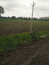  Agricultural Land for Sale in Bilkisganj, Sehore