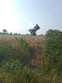  Agricultural Land for Sale in mahodiya, Sehore, Sehore