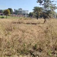  Agricultural Land for Sale in Mendora, Bhopal