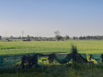  Agricultural Land for Sale in Babai, Hoshangabad