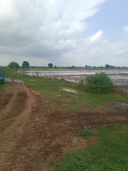  Agricultural Land for Sale in Budhni, Sehore