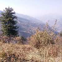  Agricultural Land for Sale in Kumarsain, Shimla