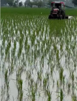  Agricultural Land for Sale in Rajpura Road, Patiala