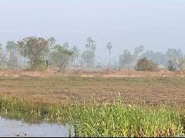  Agricultural Land for Sale in Machilipatnam, Krishna