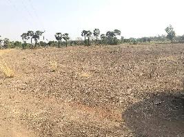  Agricultural Land for Sale in Sipcot, Kanchipuram
