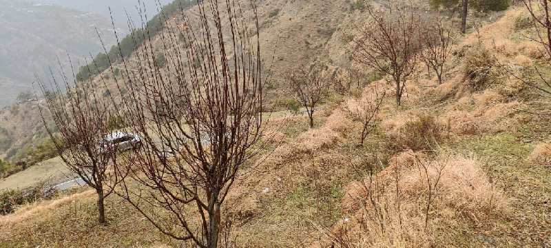  Agricultural Land 1120 Sq.ft. for Sale in Village saryanu near Masroond chamba Chamba, Himachal Pradesh