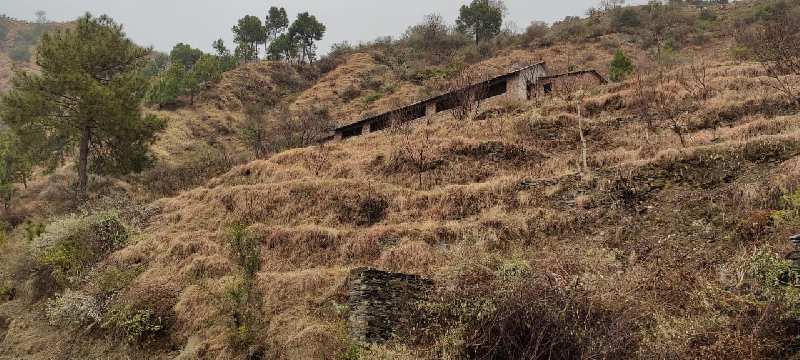  Agricultural Land 1120 Sq.ft. for Sale in Village saryanu near Masroond chamba Chamba, Himachal Pradesh