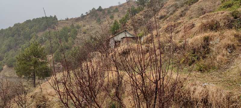  Agricultural Land 1120 Sq.ft. for Sale in Village saryanu near Masroond chamba Chamba, Himachal Pradesh