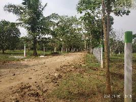  Agricultural Land for Sale in Acharapakkam, Chengalpattu