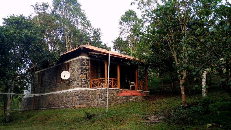  Residential Plot 9600 Sq.ft. for Sale in Pethuparai, Kodaikanal