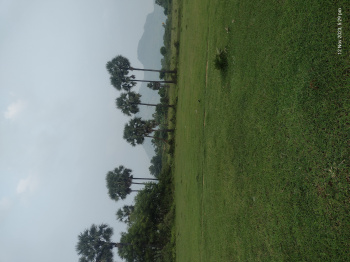  Agricultural Land for Sale in Chitteri, Vellore