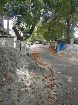 3 BHK House for Sale in Basavanagudi, Bangalore