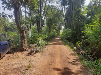  Agricultural Land for Sale in Badepalle, Vizianagaram