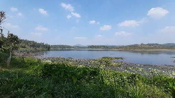  Residential Plot for Sale in Sulthan Bathery, Wayanad