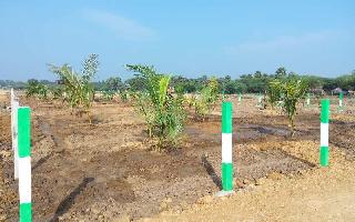  Agricultural Land for Sale in Madhurandagam, Chennai