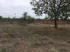  Agricultural Land for Sale in Pallapatti, Karur