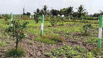  Agricultural Land for Sale in Utheera Merur, Chennai