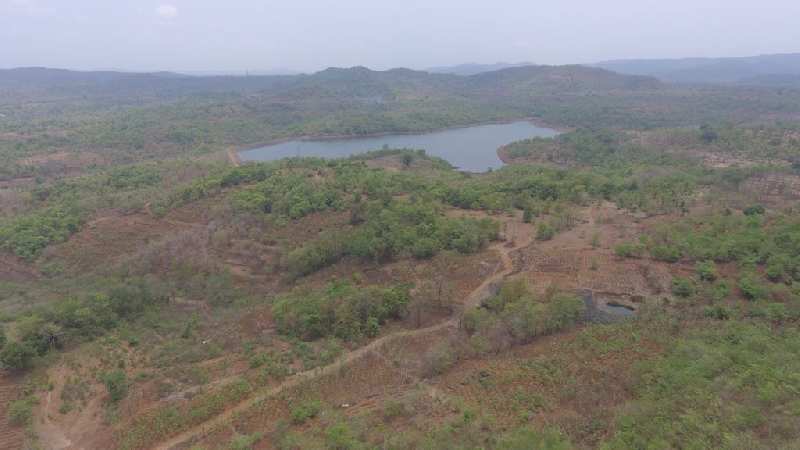  Agricultural Land 11 Guntha for Sale in Chiplun, Ratnagiri