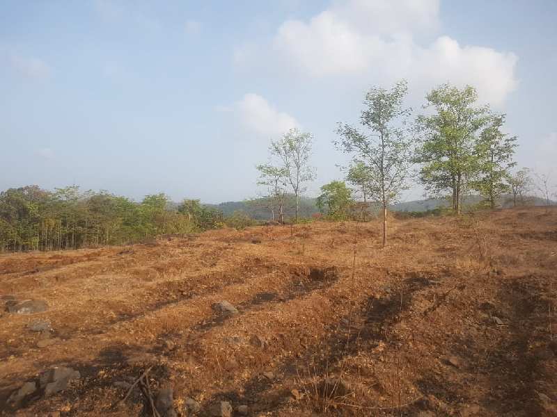  Agricultural Land 11 Guntha for Sale in Chiplun, Ratnagiri