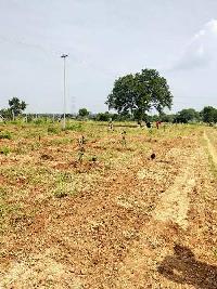  Agricultural Land for Sale in Mucherla, Hyderabad