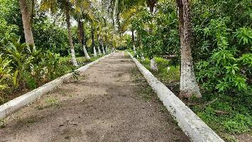  Agricultural Land for Sale in Gst Road, Chennai