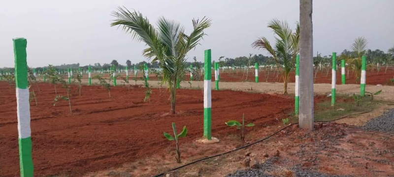  Agricultural Land 9600 Sq.ft. for Sale in Ecr To Marakanam Road, Chennai